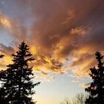 Lori J Bach - @lorijobach - Instagram