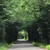 Lori Bachman - @loribachman64 - TikTok