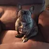 lori - @loribachmeier - TikTok