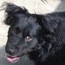 Lori Bader - Facebook