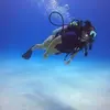 Lori Ballinger - @lori.ballinger - TikTok