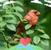 Lori Ballinger - Facebook