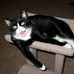 Lori Lynn Ballinger - Facebook
