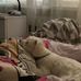 Laura Banach - Facebook