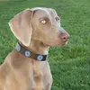 Lori Barbee368 - @loribeelife - TikTok