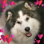 Lori Bardwell - @lori.bardwell.12 - Instagram