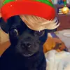 Lori Bartley Sweet - @sammygirl2225 - TikTok