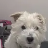 Lori Barton - @lori.barton6 - TikTok