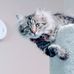 Lori Basler - Facebook