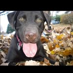 Laura Baucom - Facebook