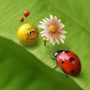 Lori Baucom - Facebook