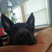 Laurie Baumgartner - Facebook
