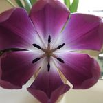 LORI M ALLEN BAYS - @loribays1 - Instagram