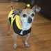 Lori Beaman Beggs - Facebook