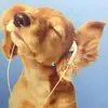 Lori - @lorii_bean12 - TikTok