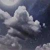 LoriBean04 - @loribean04 - TikTok