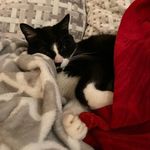 Lori-Ann Beaudoin - @lbeaudoin7 - Instagram