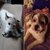 Lori Beaudoin - Facebook