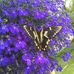 Lorie Beaudoin - Facebook