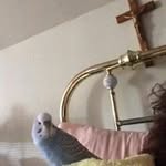 Lori Beausoleil - @loribeausoleil - Instagram