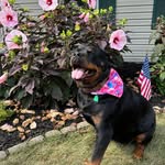 Lori Bechtel - @lkbechtel - Instagram