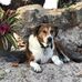 Lori Bechtel - Facebook