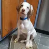 Lorie Bechtel - @lorie.bechtel - TikTok