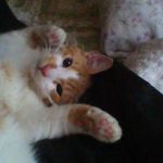 Lori Beckham - @lori.holder.50 - Instagram