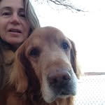 Lori Bedford - @lbedford0822 - Instagram