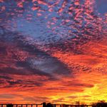 Lori Rogers-Benfield - @flamebenfield - Instagram