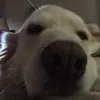 loribernardsorens - @loribernardsorens - TikTok