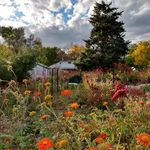 Lori Bevan - @fieldgoodsfarm - Instagram