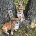 Laurie Biehl - Facebook