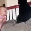 Lori Biehl - @lori_biehl535 - TikTok