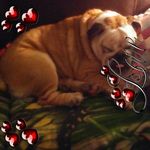 Lori Birk - @loribirk1963 - Instagram