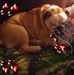 Lori Birk - Facebook