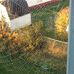 Lori Birt - Facebook