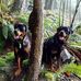 Lori Bodkin - Facebook