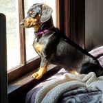 Lori Bohl - @bohllori - Instagram