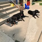 Lori Bohl - Facebook