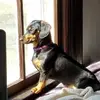 Lori Bohl - @loribohl - TikTok