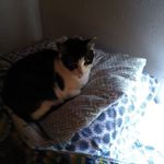 Lori Bohn - @loribohn53 - Instagram