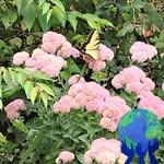 Lori Bohnen - @lori.bohnen.9 - Instagram