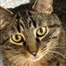 Laura Bohrer - Facebook