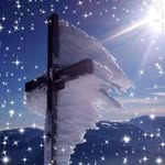 Lori Pinney Bohrer - @loribohrer - Instagram