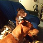 Lori Bollinger - @lori.bollinger.90 - Instagram