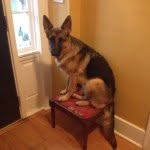 Lori The Mom - @lori_bonner - Instagram