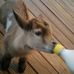 Lori Diane Boothe - Facebook