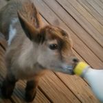 Lori Diane Boothe - @babysayitaintso2015 - Instagram
