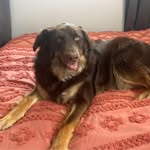 Lori Ginanni Boothe - @lori_8342 - Instagram